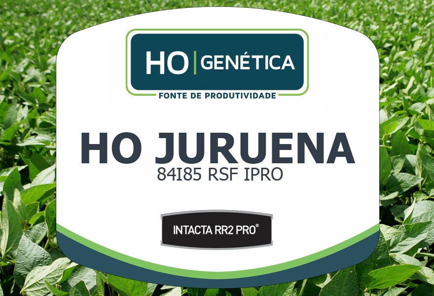 JURUENA  84I85RSF IPRO RO